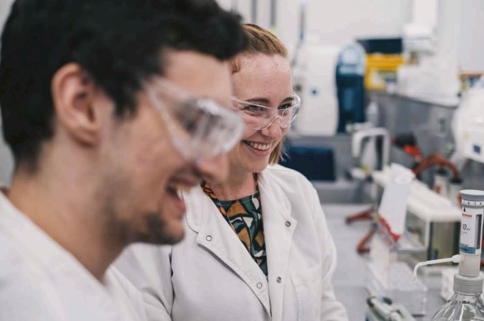 Company's culture and value information