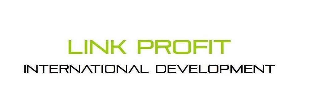 Link Profit International Development Limited's banner