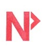 Logo NPP Consulting