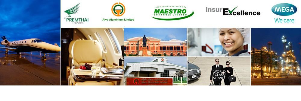 Maestro Controls Ltd.'s banner