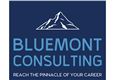 Bluemont Consulting's logo