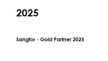 Sangfor - Gold Partner 2025 2025