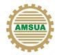 Amsua Trading Company Limited's logo