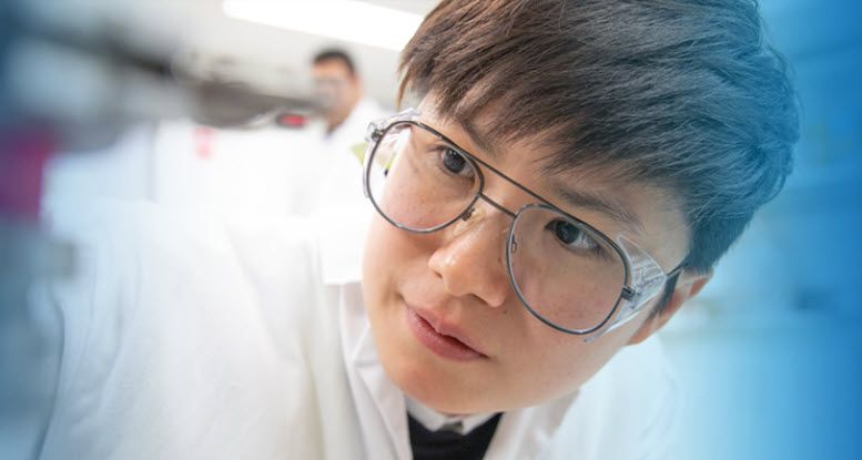 Company's culture and value information