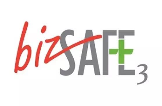 BizSafe Level 3 2019