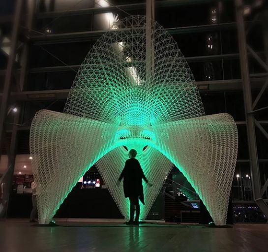 Company's culture and value information