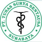 Perusahaan Besar Farmasi