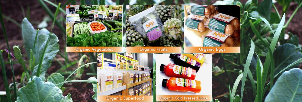Natural & Premium Food Co., Ltd.'s banner