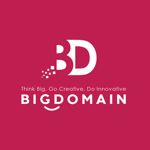 Big Domain Sdn Bhd logo