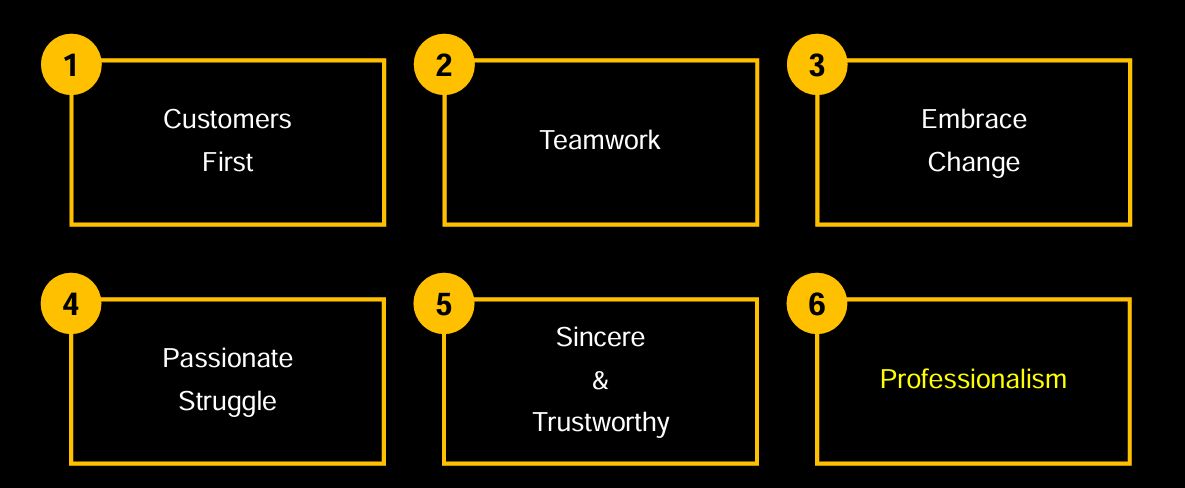 Company's culture and value information