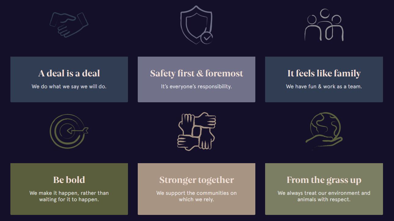 Company's culture and value information