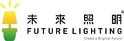 Future Lighting Collection Limited's logo