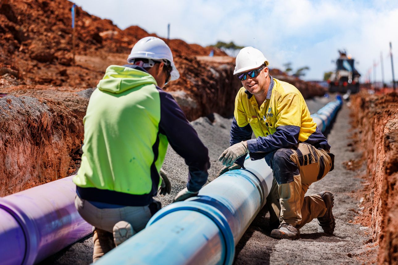 Company's culture and value information