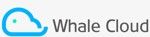 PT Whale Cloud Technology Indonesia membuka lowongan kerja Technical Support Engineer Jakarta