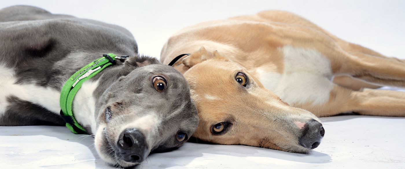 Featured banner image