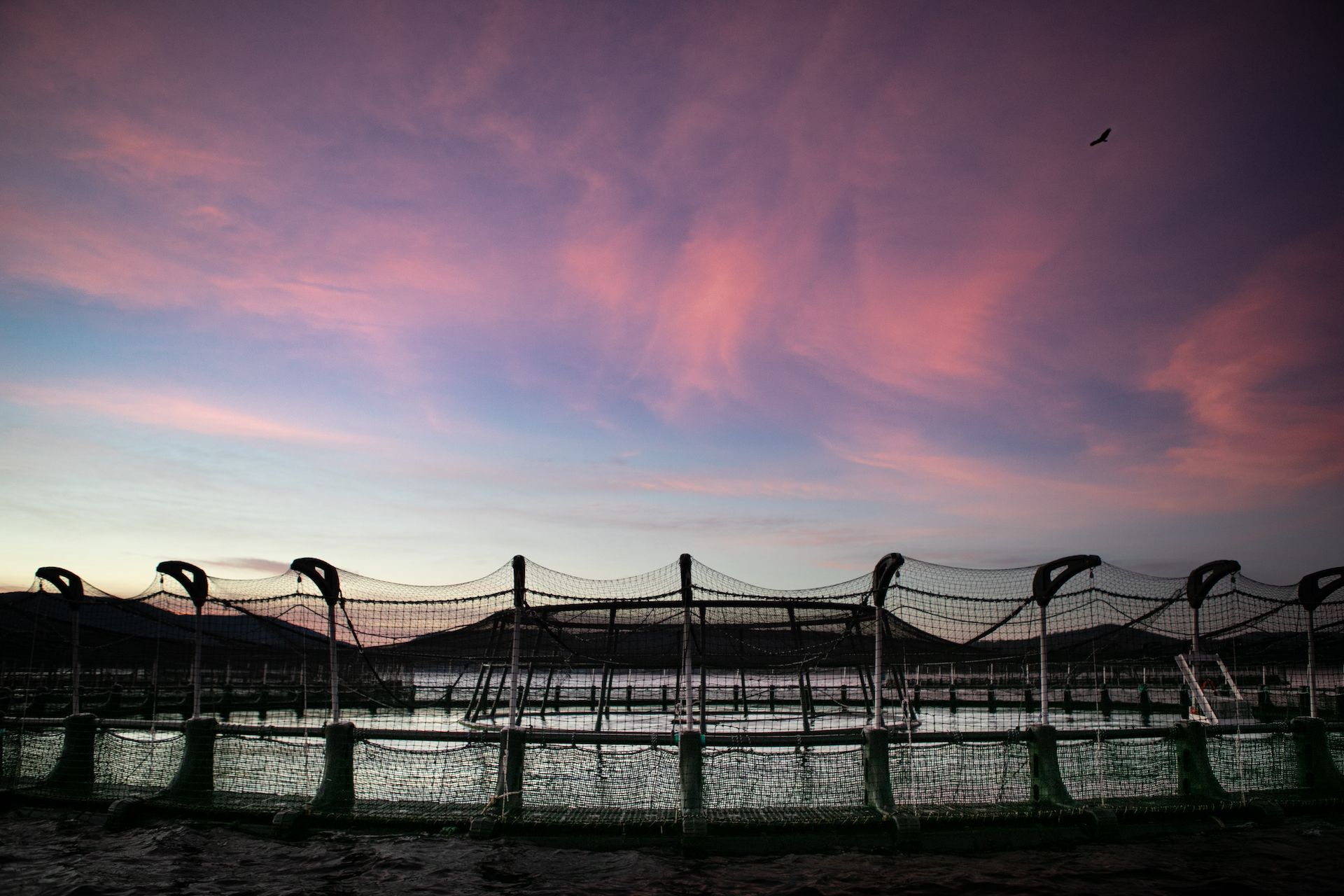 Company's culture and value information