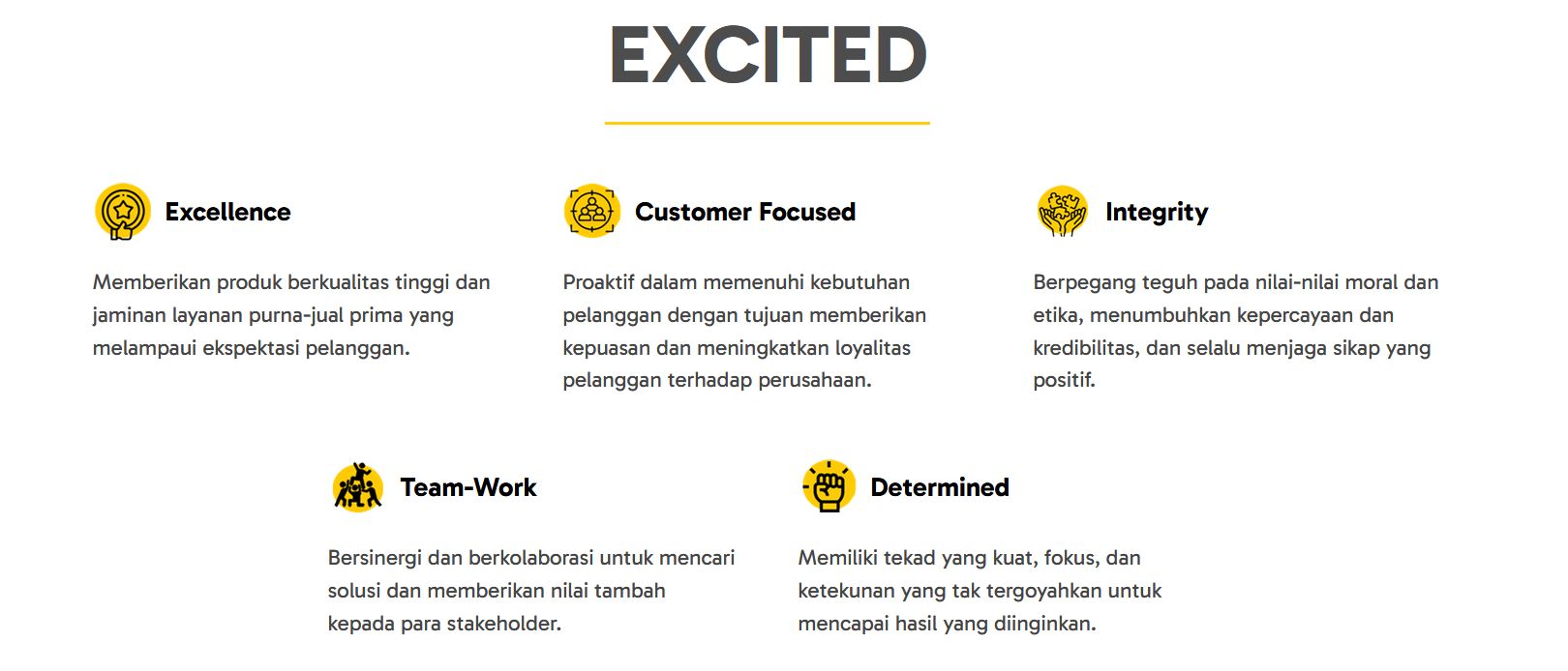 Company's culture and value information