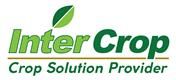 Inter Crop Group's logo