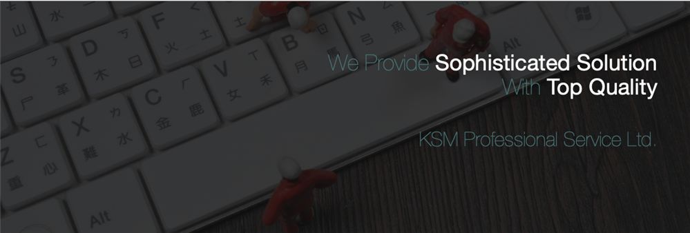 KSM Professional Service Limited's banner