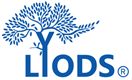 Lyods Engineering Limited's logo