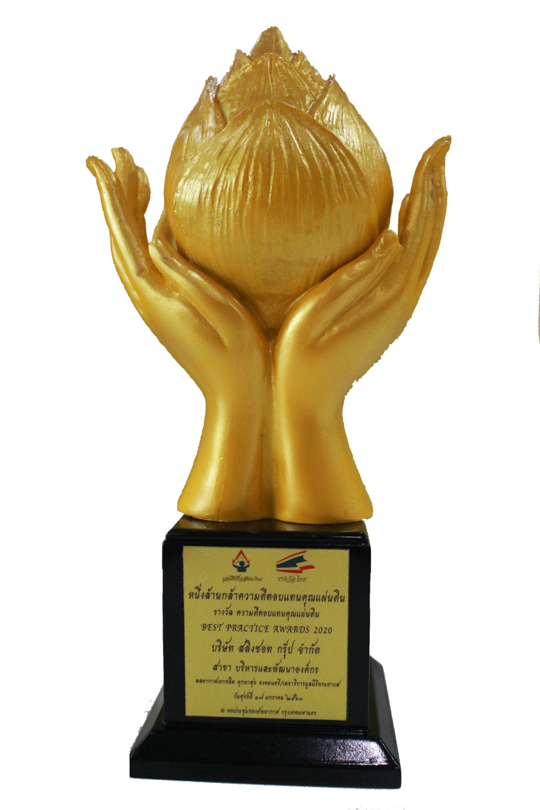 Best Practice Award 2020