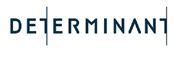 Determinant (Hong Kong) Limited's logo