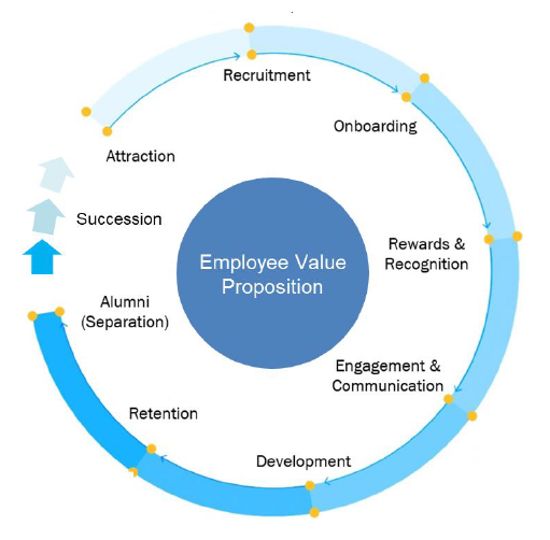 Company's culture and value information