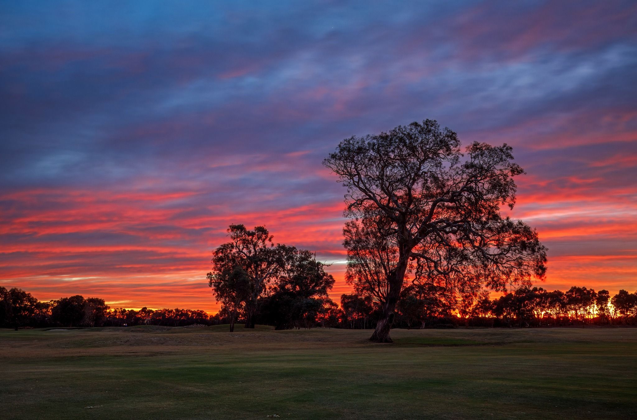 Company's culture and value information