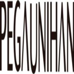 PT. Pegatron Technology Indonesia 