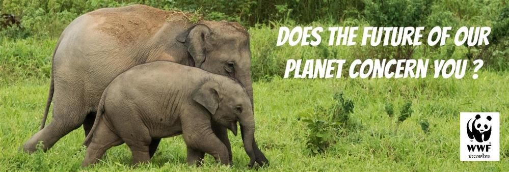 World Wide Fund for Nature International: WWF's banner