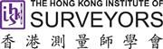 Surveyors Services Limited's logo