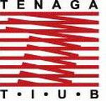 Tenaga Tiub Sdn Bhd