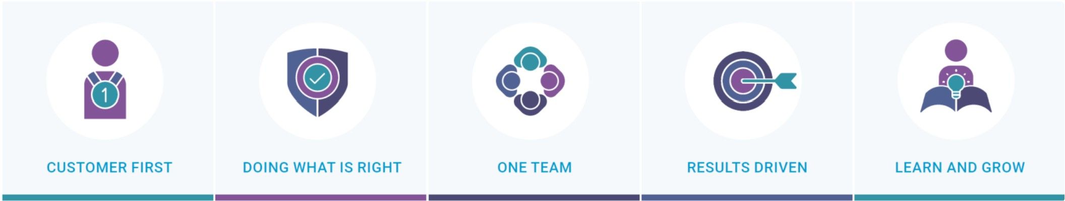 Company's culture and value information