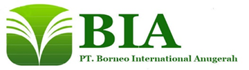 BORNEO INTERNATIONAL ANUGERAH