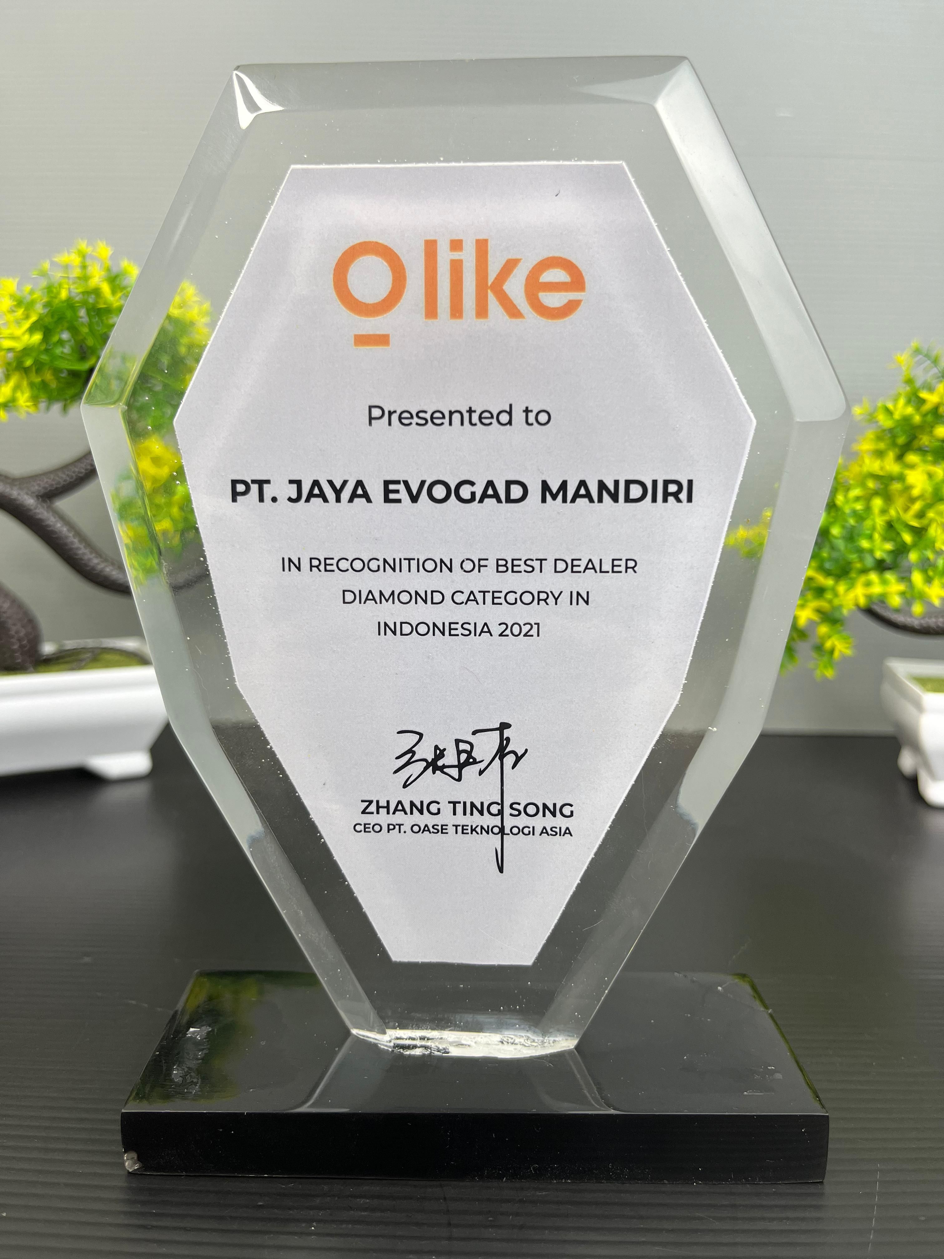 OLIKE - Best Dealer Diamond Category In Indonesia 2021 2021
