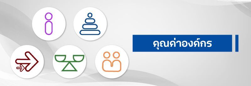 Company's culture and value information