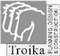 Troika Engineering Limited's logo