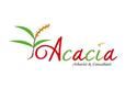 Acacia Arborist and Consultant Limited's logo