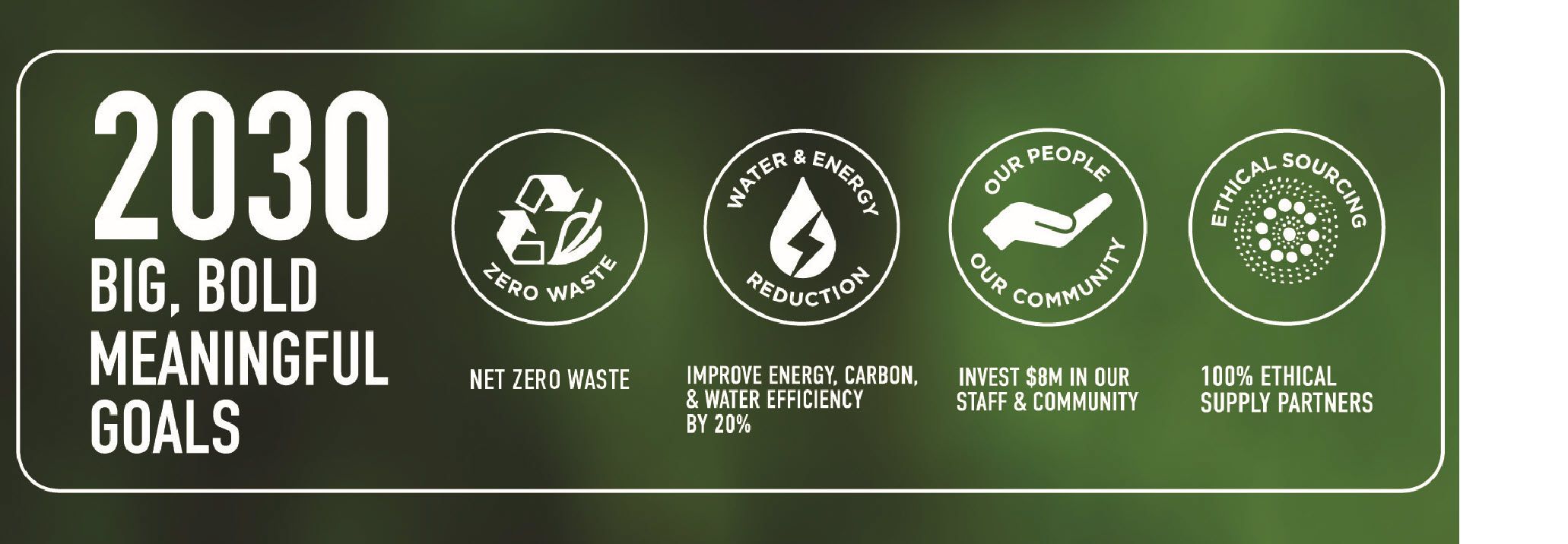 Company's culture and value information