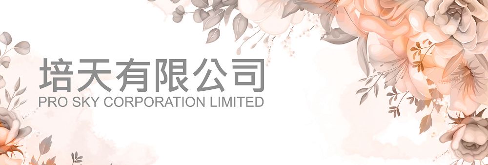 Pro Sky Corporation Limited's banner