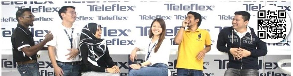 Accounting Finance Jobs At Teleflex Job Vacancies Feb 2021 Jobstreet