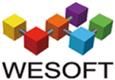 We Software Limited's logo