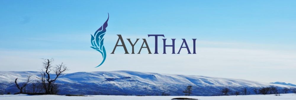 Ayathai Travel Company Limited's banner