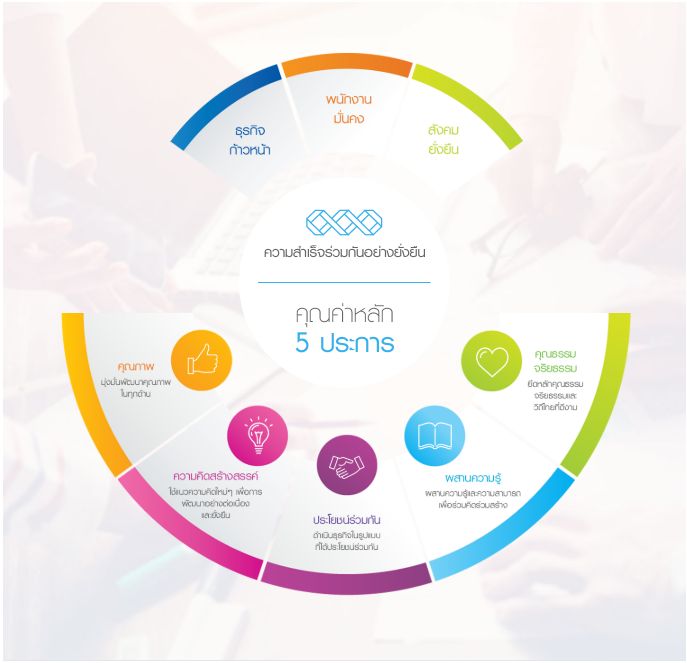Company's culture and value information