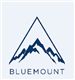Bluemount Securities Limited's logo