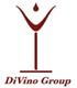 Divino Group Limited's logo
