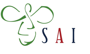 AKASA INDONESIA