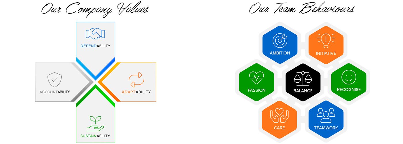 Company's culture and value information