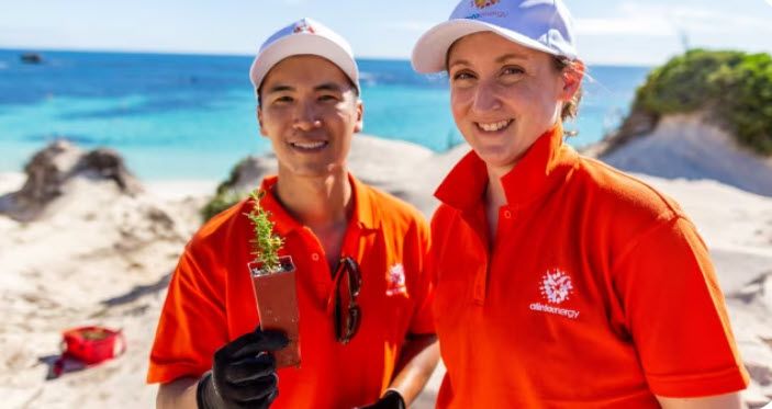 Company's culture and value information