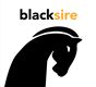 Black Sire Enterprise's logo